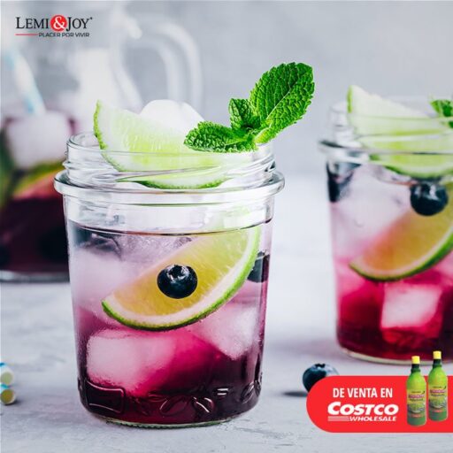Blackberry gin fizz